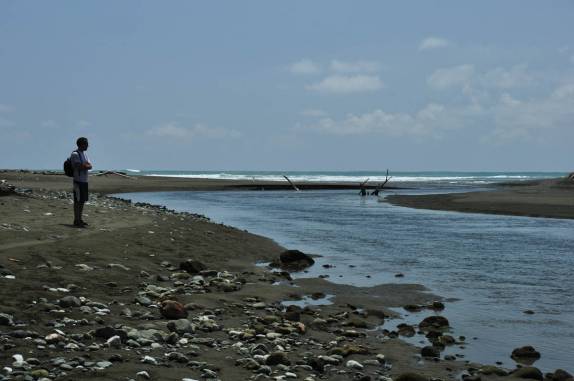 Procurando tubarões-touro na foz do rio Sirena, Parque Nacional Corcovado, na Península de Osa, no sul da Costa Rica